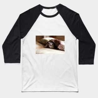 Hidden Cat Baseball T-Shirt